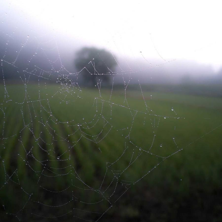 বেবি ফিডিং বোতল সেট
